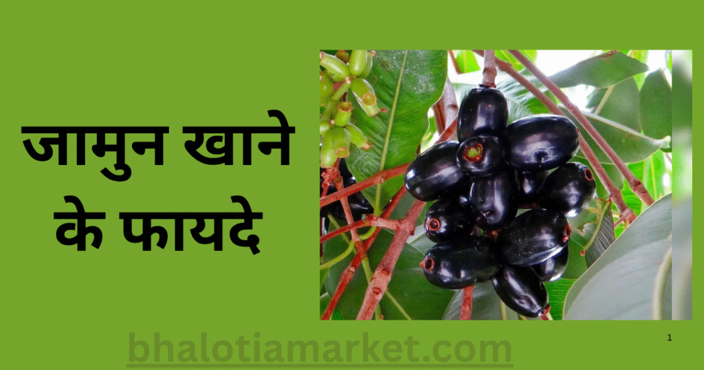 Jamun Khane Ke Fayde in Hindi
