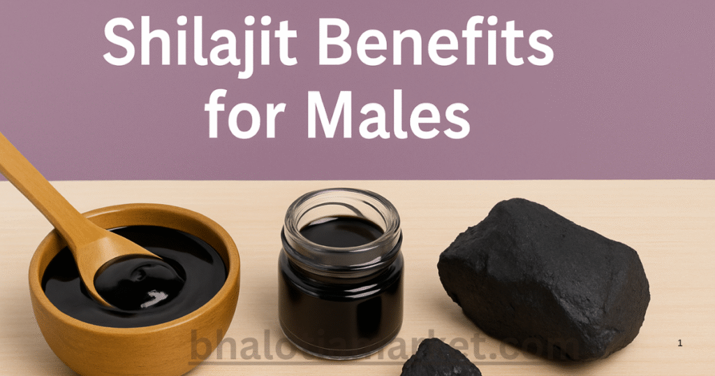 Shilajit Benefits for Male