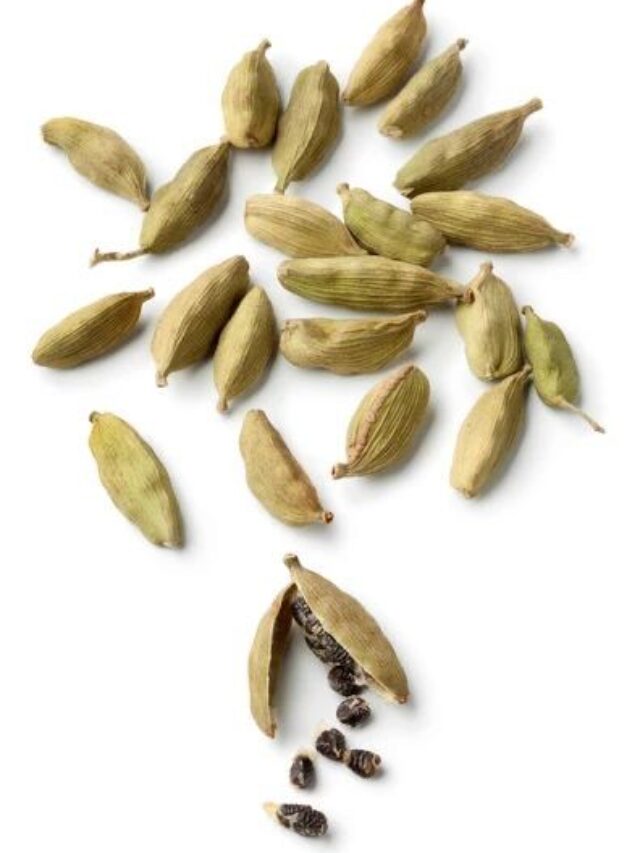 इलायची का इतना जबरदस्त असर! रोज़ खाने से होते हैं ये गज़ब के 5 फायदे