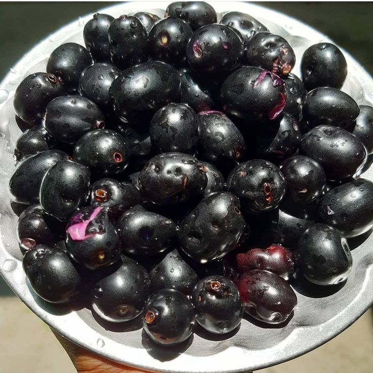 Jamun Khane Ke Fayde in Hindi