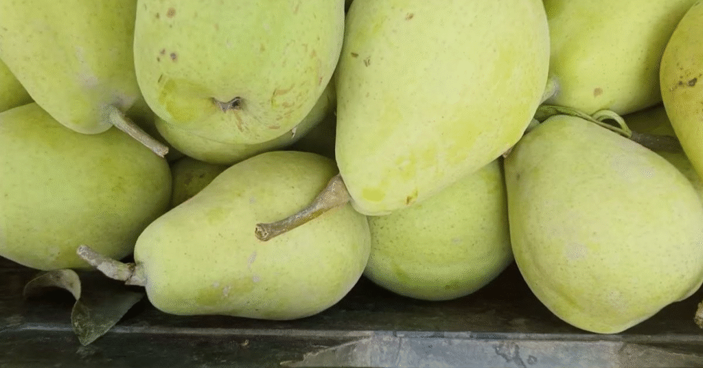 nashpati khane ke fayde