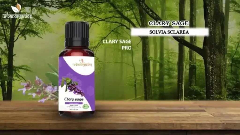 sage oil in hindi