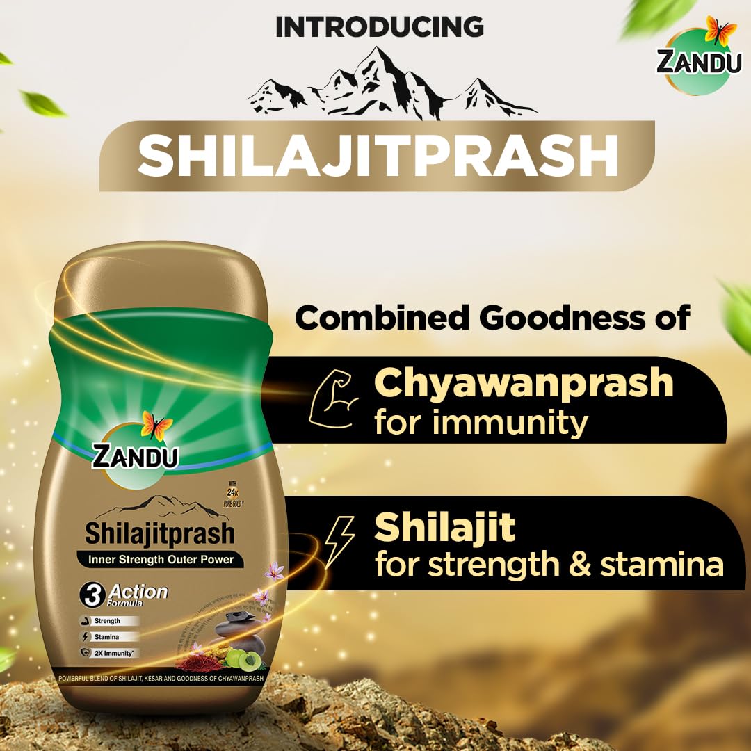 Zandu Shilajitprash Benefits